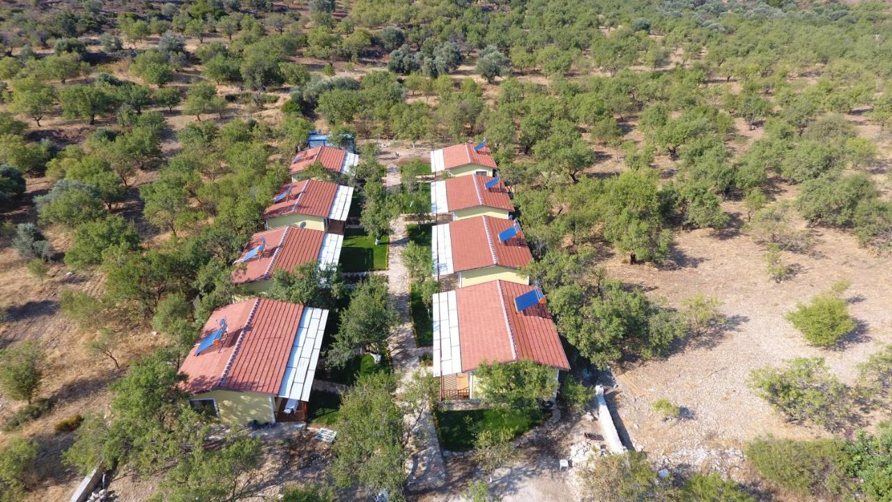 Selerdoga Evleri Hotel Palamutbuku Exterior foto