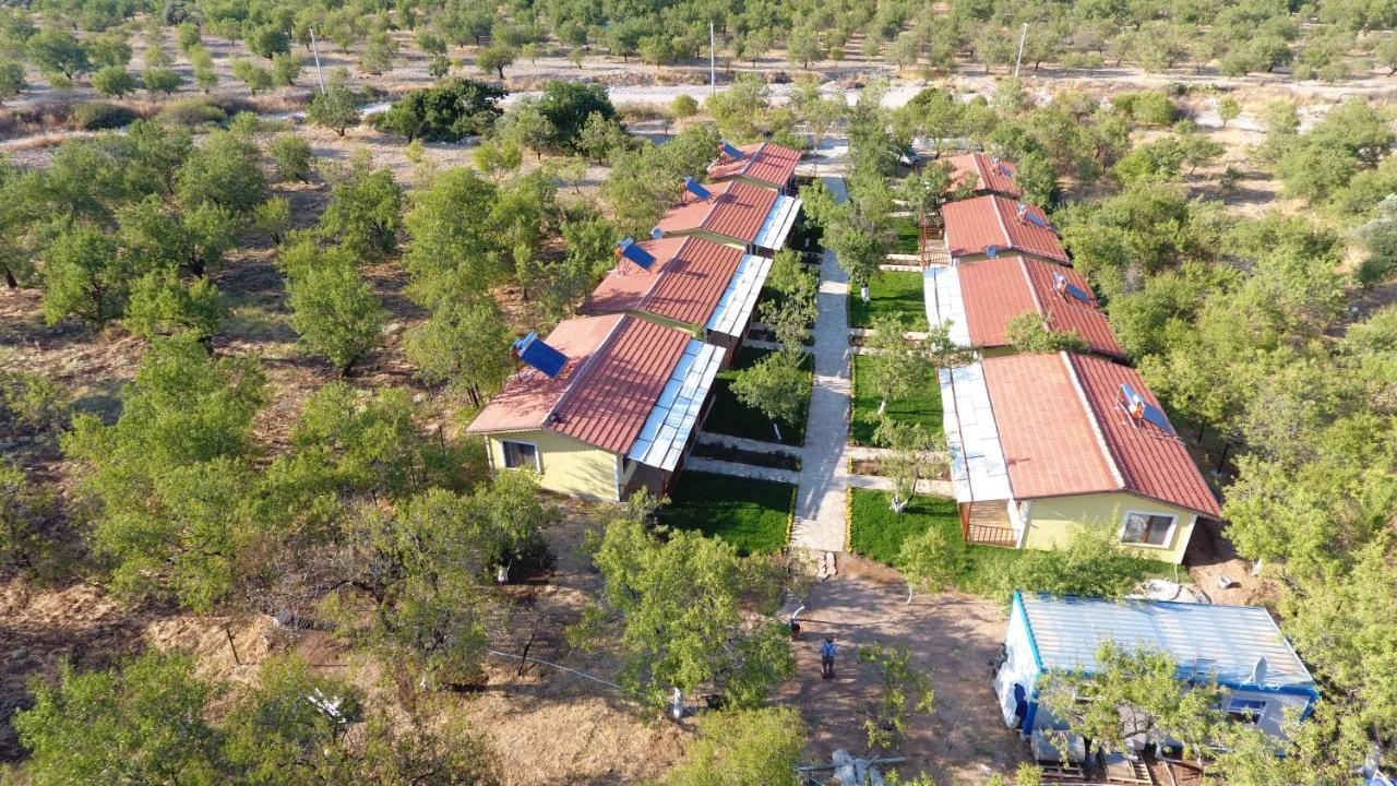 Selerdoga Evleri Hotel Palamutbuku Exterior foto
